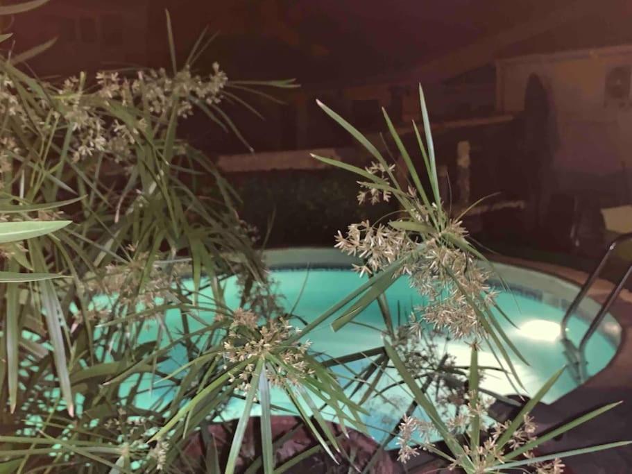 Piscine Cosy, 3 Chambres, 3 Sdb, Havre De Paix A 10 Min Des Plages Mauguio Exterior photo